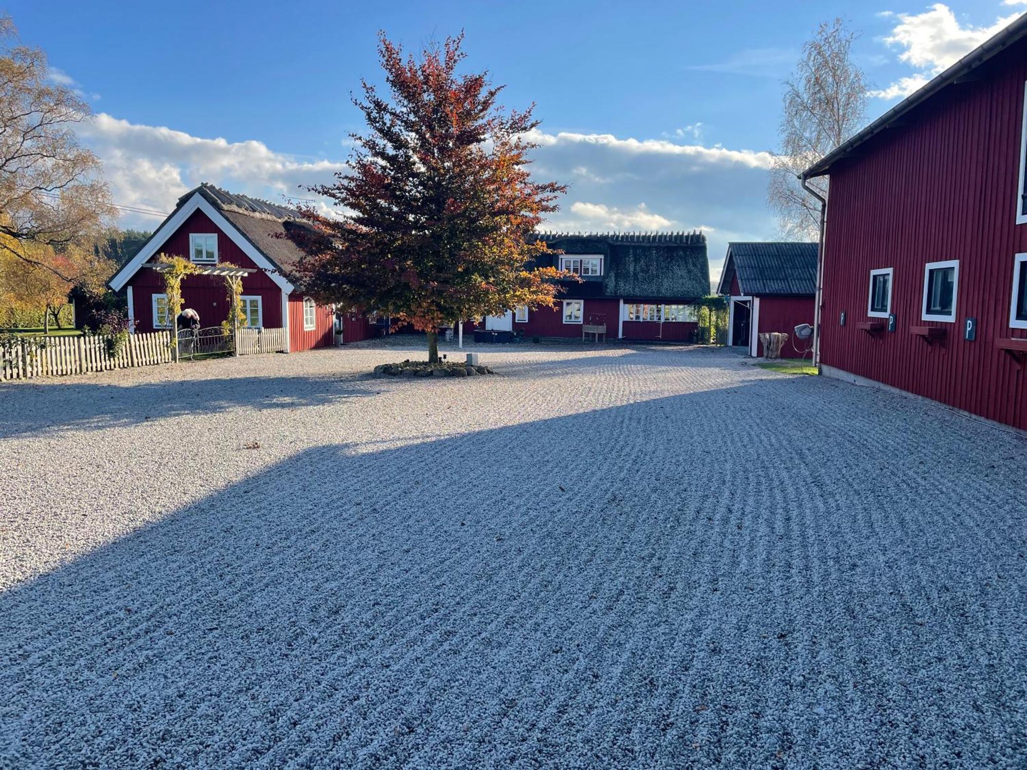 Sanddala Bed&Breakfast Everod Exteriör bild
